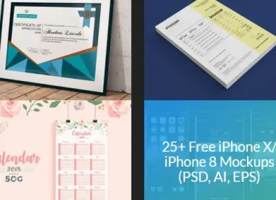 How to Embed a Behance Project into Your Website