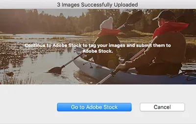 Viewing and Managing Your Uploaded Images on Adobe Stock