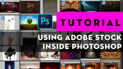 Mastering Adobe Stock Photos in Photoshop for Creative Designs