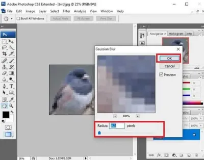 Understanding Grainy or Pixelated Adobe Stock Photos in Photoshop