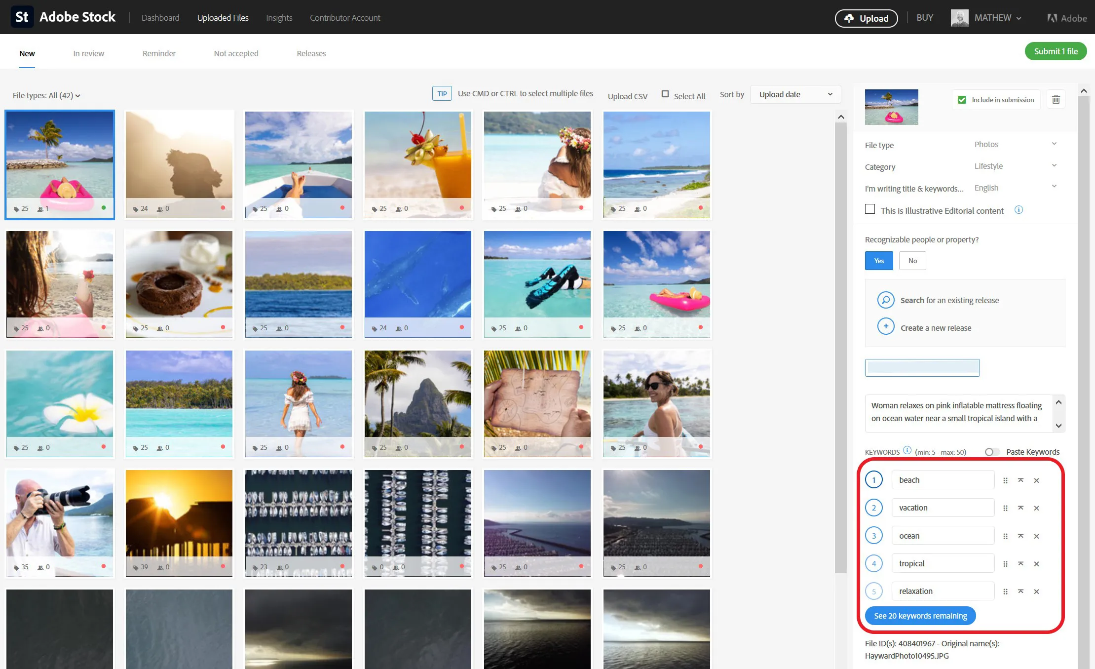 Use the Contributor portal on Adobe Stock  Adobe Learn  Support tutorials