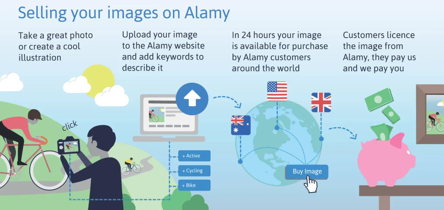 Alamy contributor help  new design new content