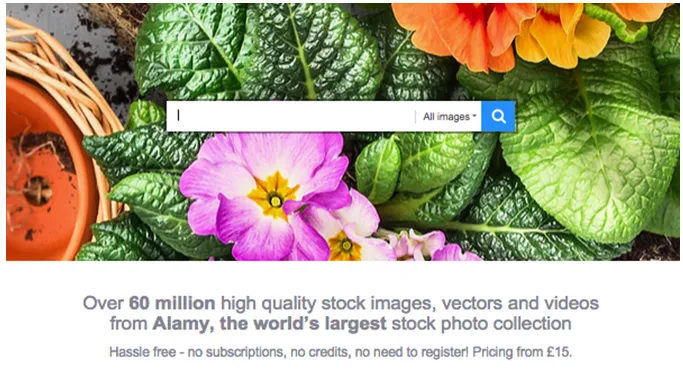 Top Three Best Sites For Selling Photos And Gain Profit  Techyvcom