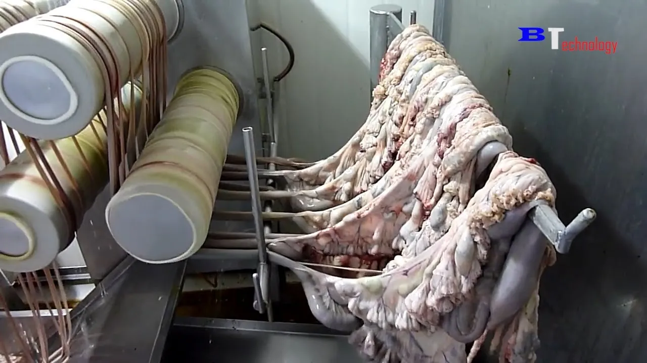 How to Make Sausages in a Factory Industrial Process Explained