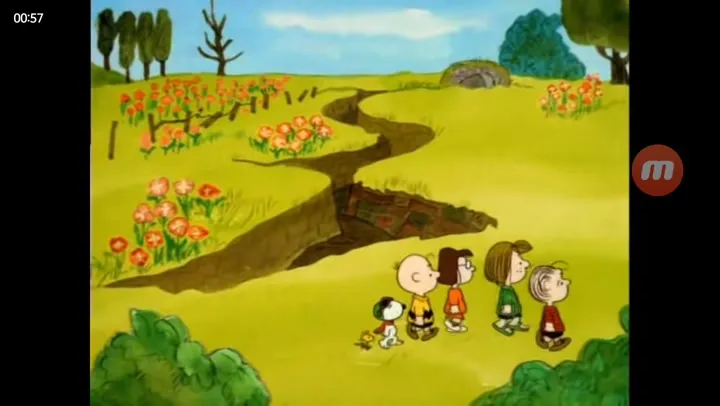 What Have we Learned Charlie Brown  Remembrance Day 1983 