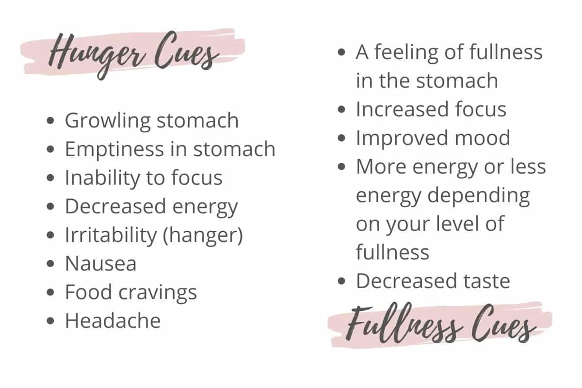 Understanding Hunger Cues and Digestion