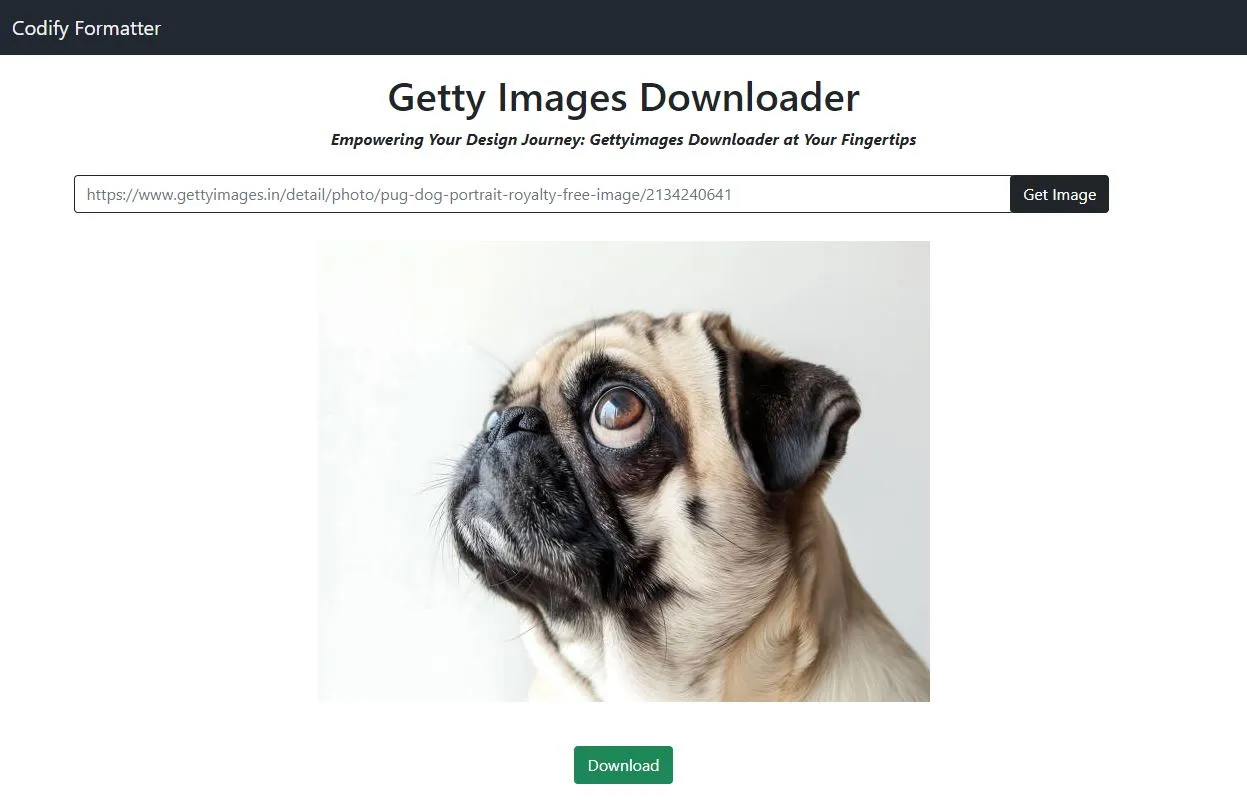 Download Getty Images for Free and Legally Without Copyright Issues