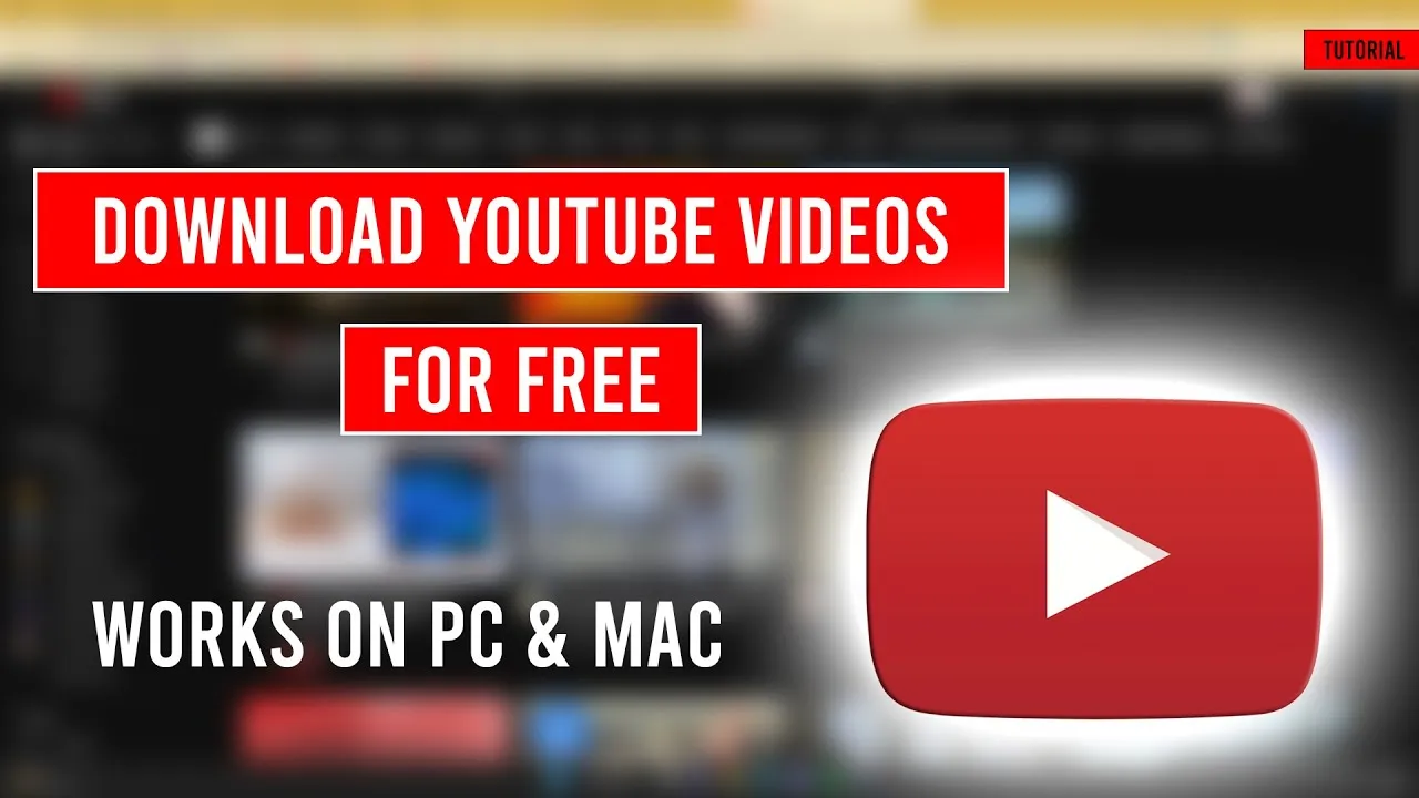 How to Download YouTube Videos for Free  YouTube