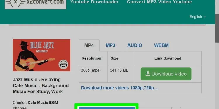 How to Download Audio From YouTube  Zeru