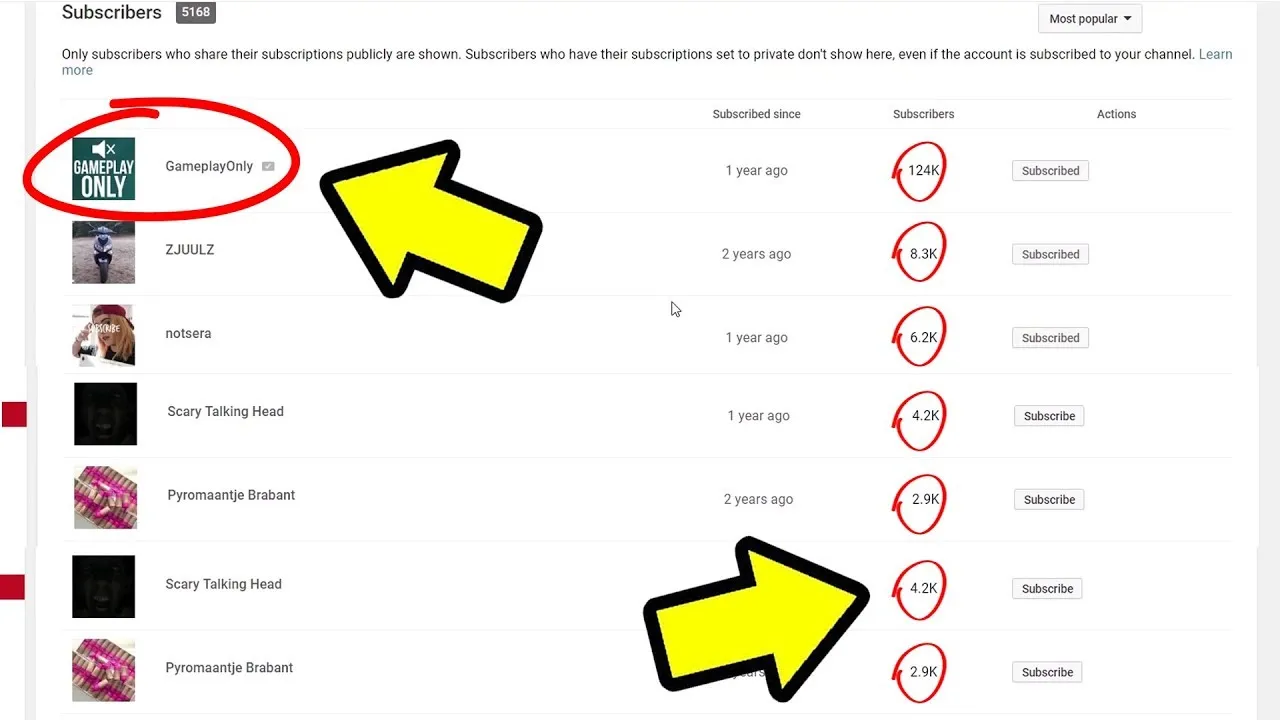 How to See Who Subscribed to Your YouTube Channel