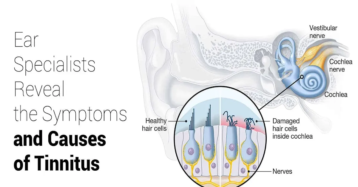 Ringing in the Ears Tinnitus Its Causes  How to Stop it