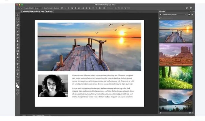 Downloading Adobe Stock Images Without a Watermark for Paid Users