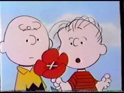 Key Lessons from What Have We Learned, Charlie Brown