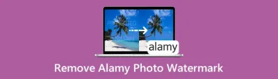 A Guide to Accessing Free Images from Alamy