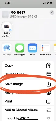 How to Save Photos from Telegram to iPhone