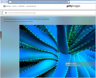 Remove Getty Images Logo from Your Photos While Retaining Rights