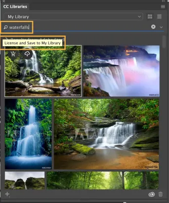 How to View Favorites on Adobe Stock Managing Your Saved Assets