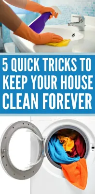 How Clean Is Your House with Dailymotion Cleaning Tips and Tricks