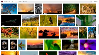 Signing Up as an Adobe Stock Contributor – A Beginnerâs Guide