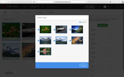 Understanding the Review Process for Adobe Stock Submissions