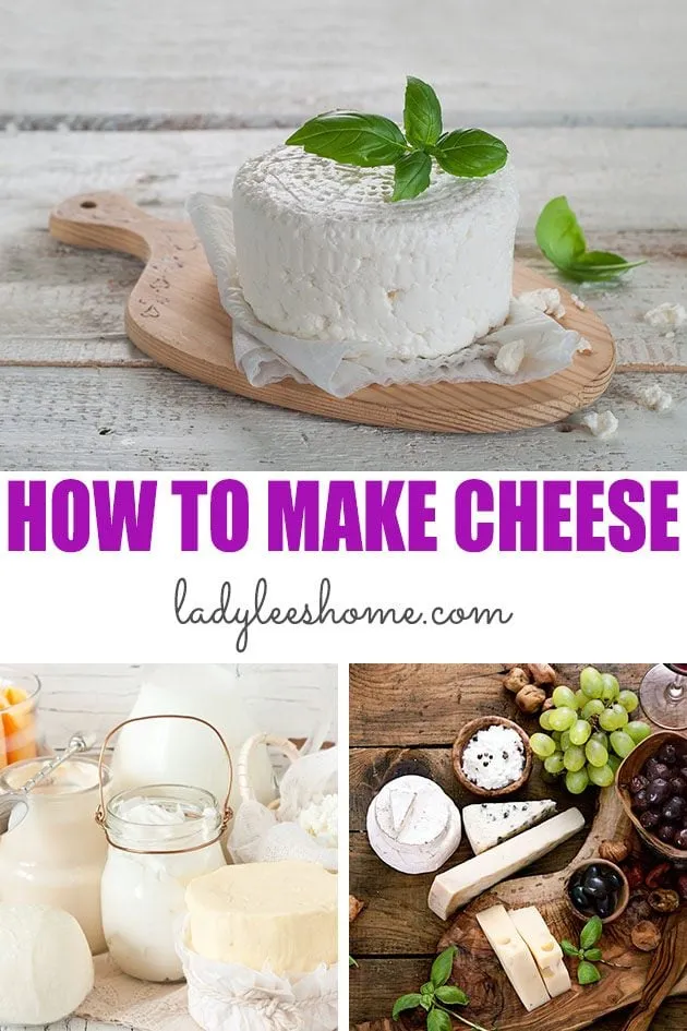 How to Make Cheese at Home  Lady Lees Home