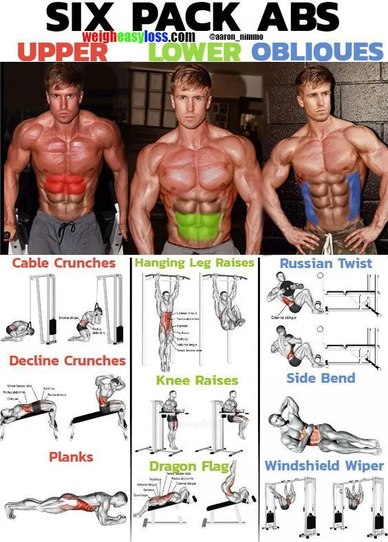 Ultimate Guide to Building 6-Pack Abs in the Gym