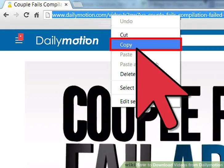 How to Download Dailymotion Videos Without Any Software