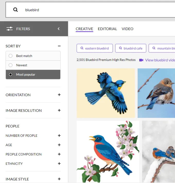 The 11 Best Image Search Engines