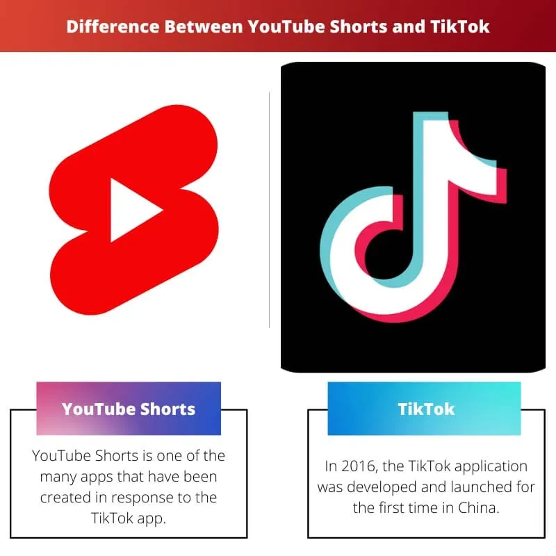 YouTube Shorts vs. TikTok Which One Is Safer for Users