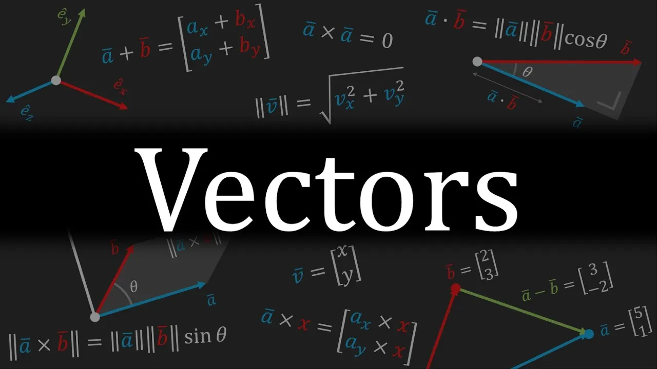 Everything You Need to Know About VECTORS  YouTube