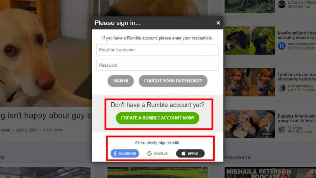 How To Use Rumble App  Step by Step Tutorial LIVE STREAM  YouTube