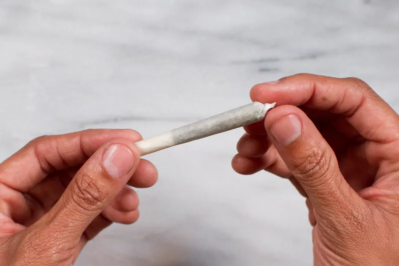 How to Roll a Joint A Step by Step Guide  Meadow Blog