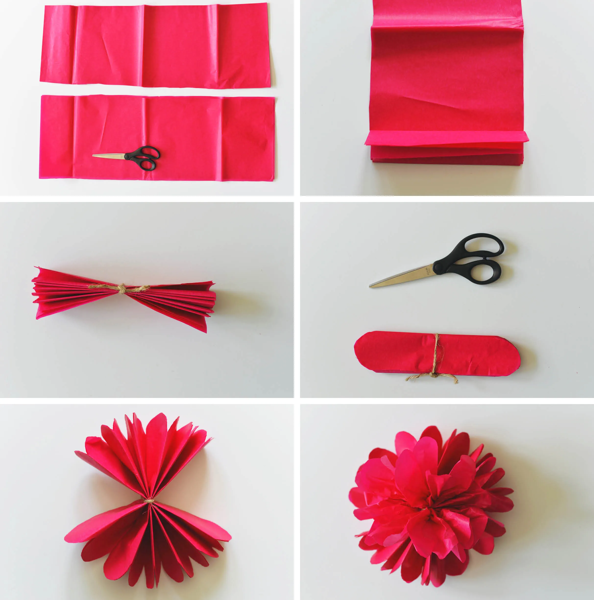 DIY Tissue Paper Flower Backdrop