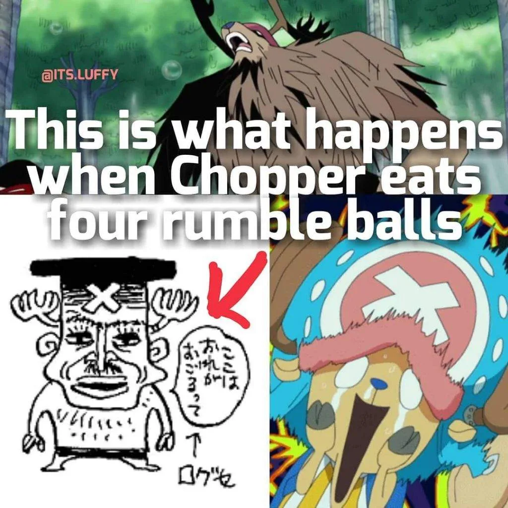 Oda stated what would happen if Chopper ate 4 Rumble Balls  One Piece 