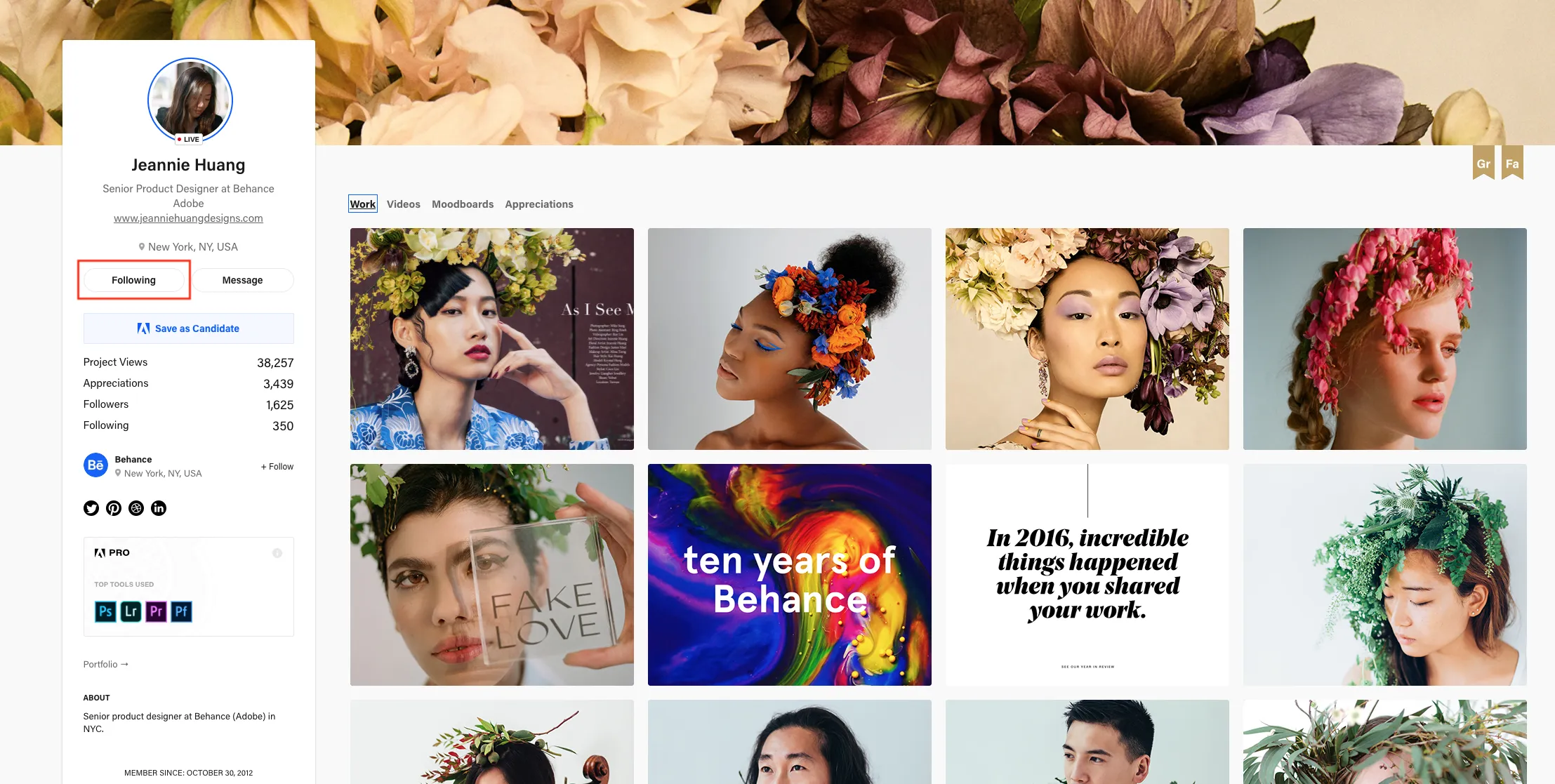 Guide Following Creatives On Behance  Behance Helpcenter