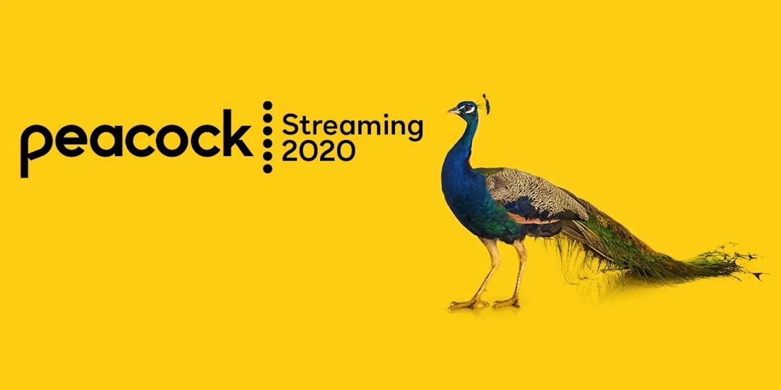 Is Peacock Included with YouTube TV? A Comprehensive Guide to Streaming Options