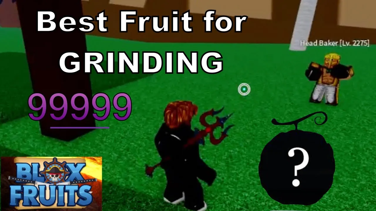 Best Fruit for Grinding in 2nd  3rd Sea  Roblox  YouTube