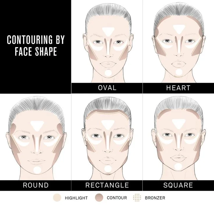 Shape Matters Know the basics of perfect contouring in just 60 seconds 