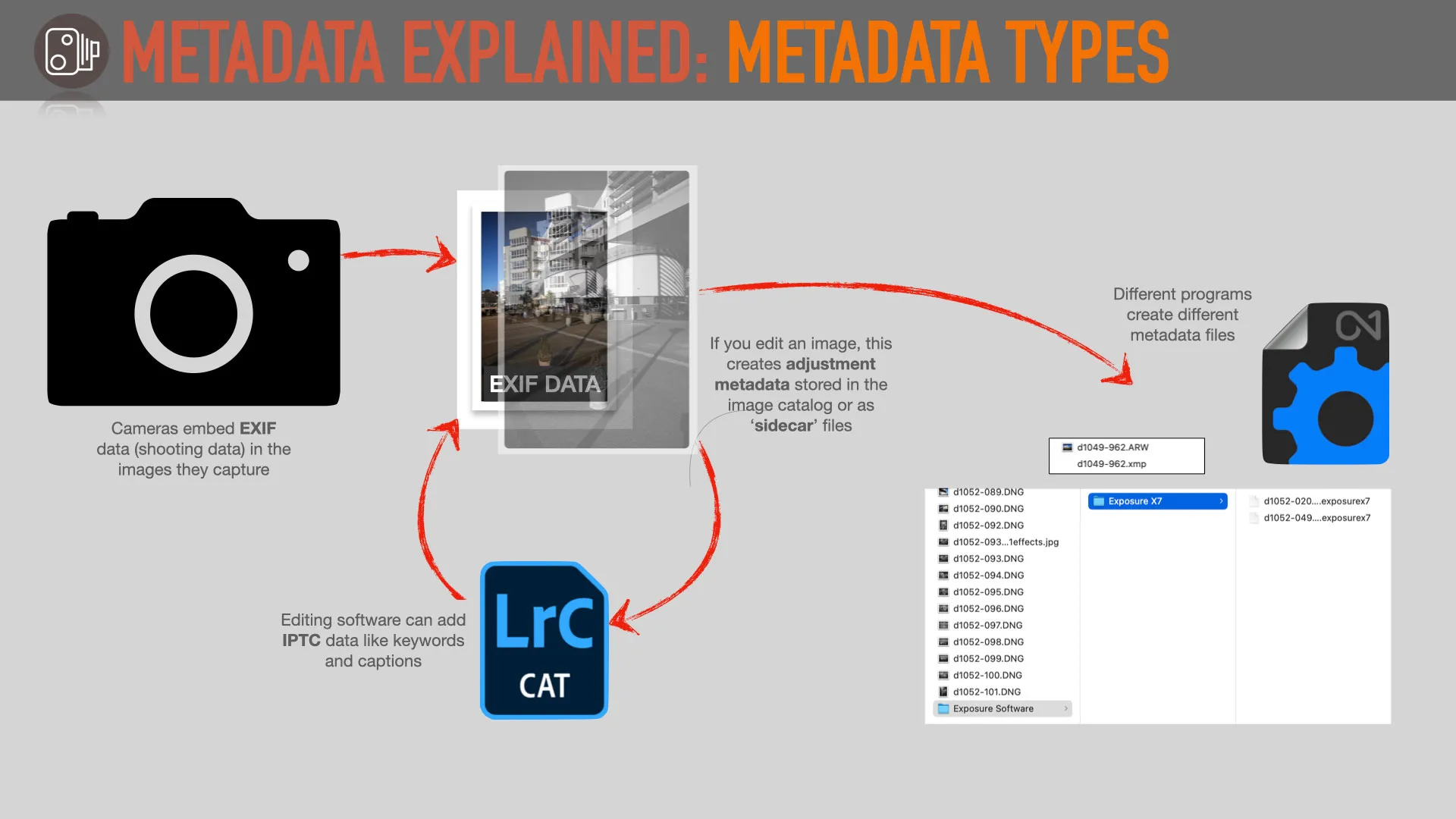 How to Check Adobe Stock Metadata and Understand Image Information