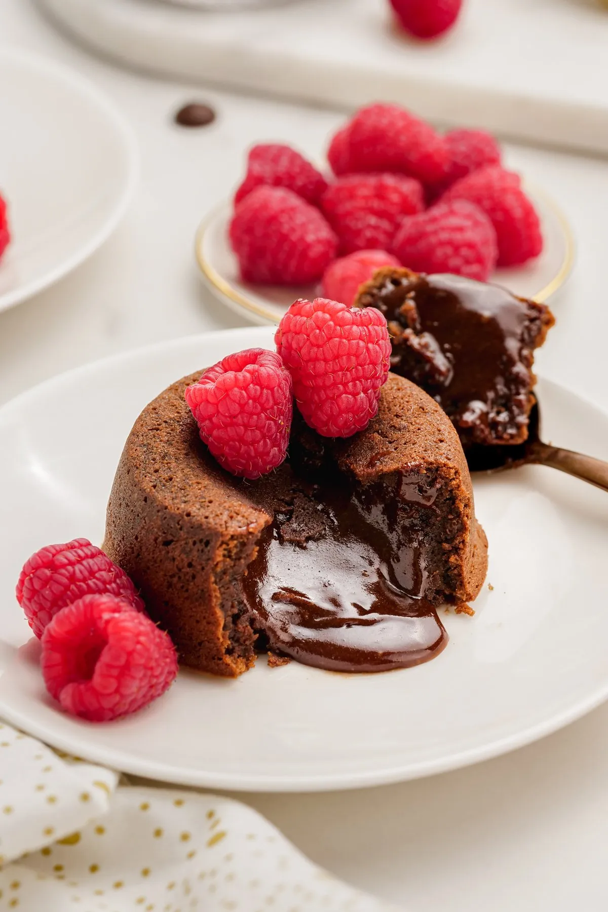 Molten Lava Cake Recipe Gooey Facilities  RecipeAddictivecom