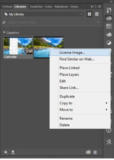 Understanding Adobe Stock Standard License Pricing and Usage Rights