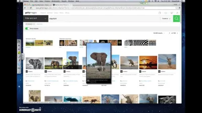 How to Search Getty Images by Photographer