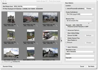 Downloading Pictures from Adobe Stock for Your Design Projects