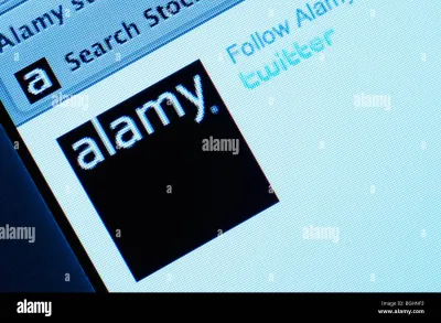 Why Alamy Is a Game Changer for Content Creators and Businesses