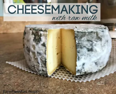 How to Make Cheese at Home from Milk