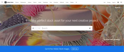 Understanding the Cost and Features of Adobe Stock Premium Plan