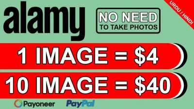 Fast Money with Alamy How Quickly Can You See Results as a Contributor