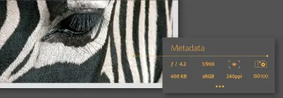How to Check Adobe Stock Metadata and Understand Image Information