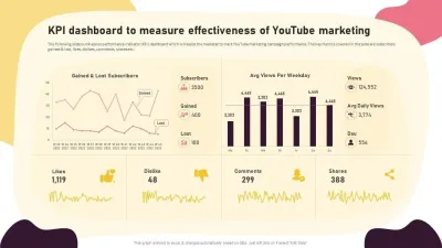 Analyzing the Effectiveness of YouTube's Paid Promotion Tools