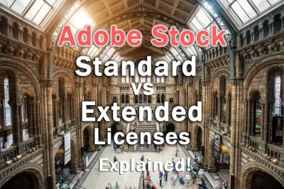 Understanding Adobe Stock Standard License Pricing and Usage Rights
